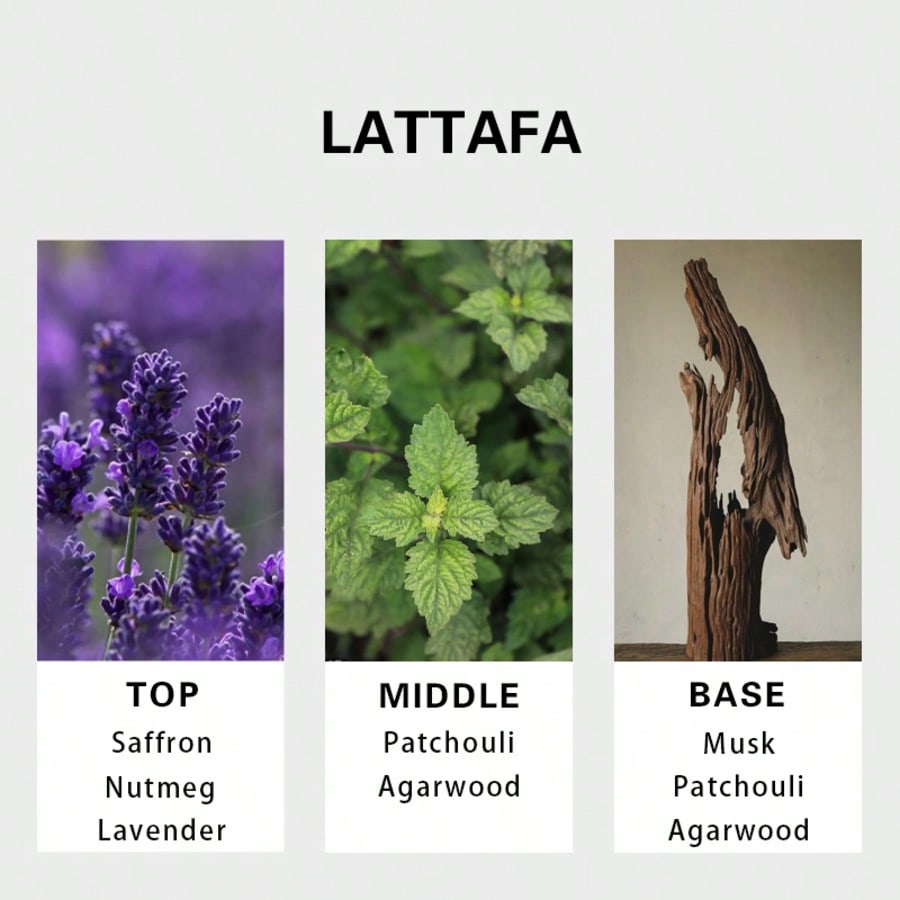 Lattafa Badee Al Oud For Glory – обзор и цена Perfume And Fragrance