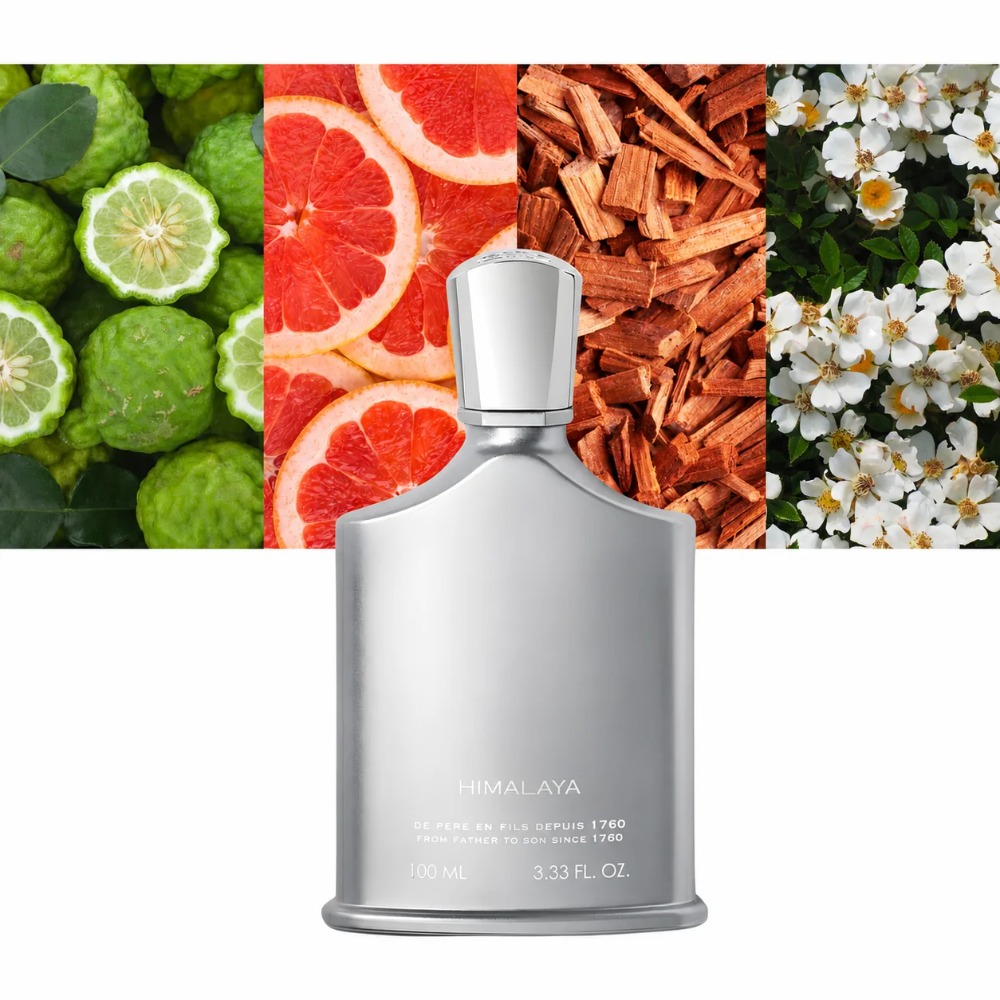 Духи Aventus для мужчин, 100 м – обзор и цена Perfume Fresh Fragrance