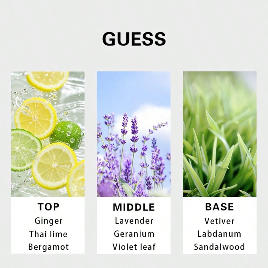 Guess Forever мужская туалетна – обзор и цена Perfume And Fragrance